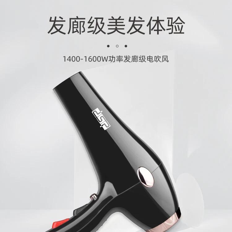 dsp-hair dryer