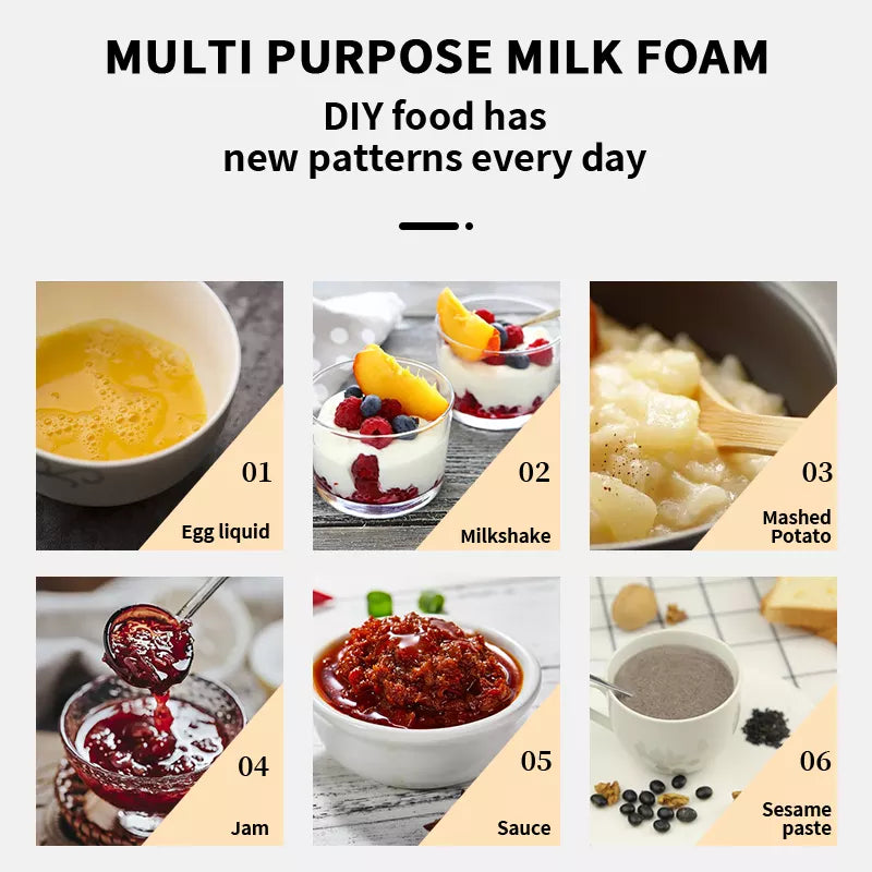 DSP Multipurpose Handheld ( Latte Foaming )