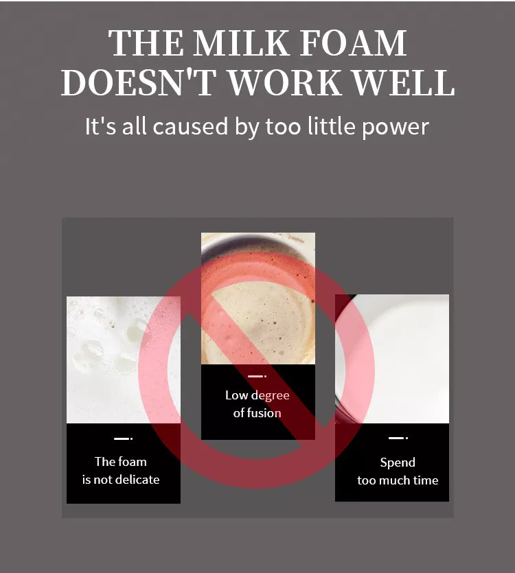 DSP Multipurpose Handheld ( Latte Foaming )